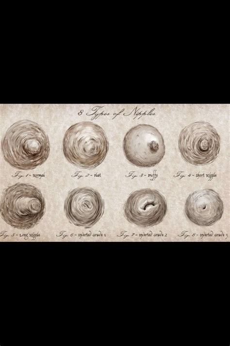 playing with big nipples|There Are 8 Types of Nipples in the World